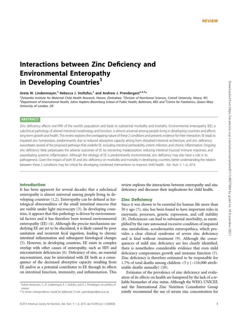 Interactions Between Zinc Deficiency and Environmental Enteropathy in