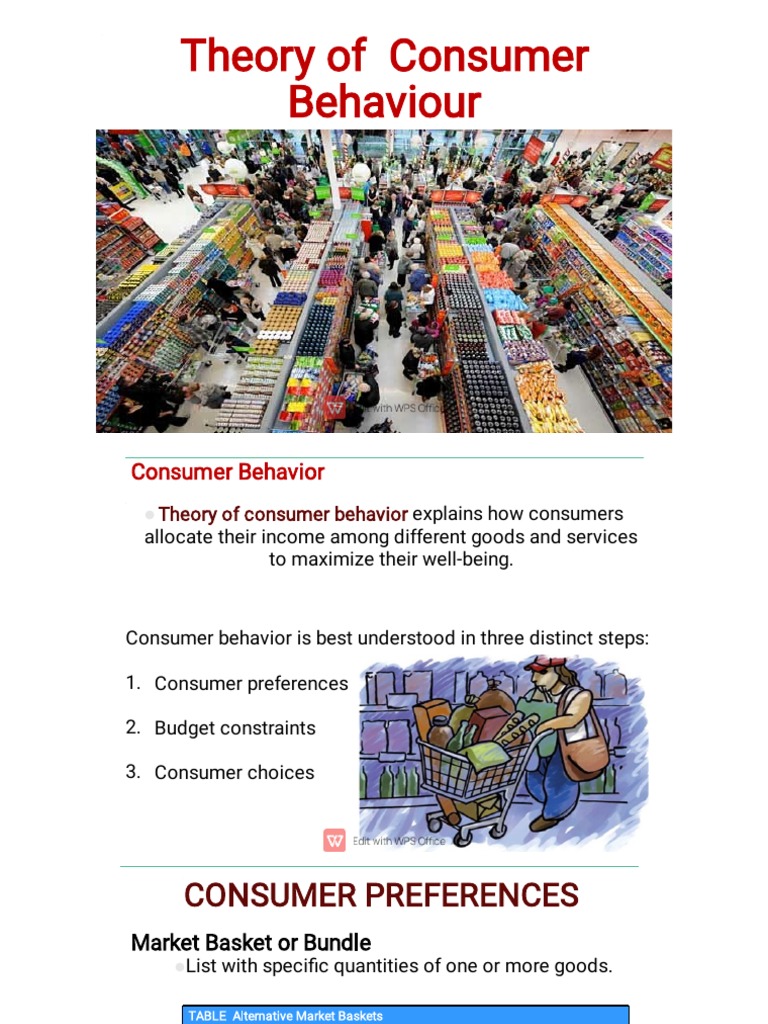 Theory of Consumer Behaviour | PDF