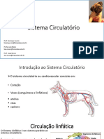Sistema Circulatório 08-09-2021 - Linfático