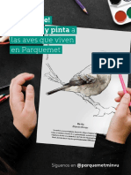 Libro para Pintar Aves Exóticas de Chile