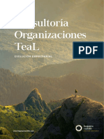 Consultoria Organizaciones TEAL