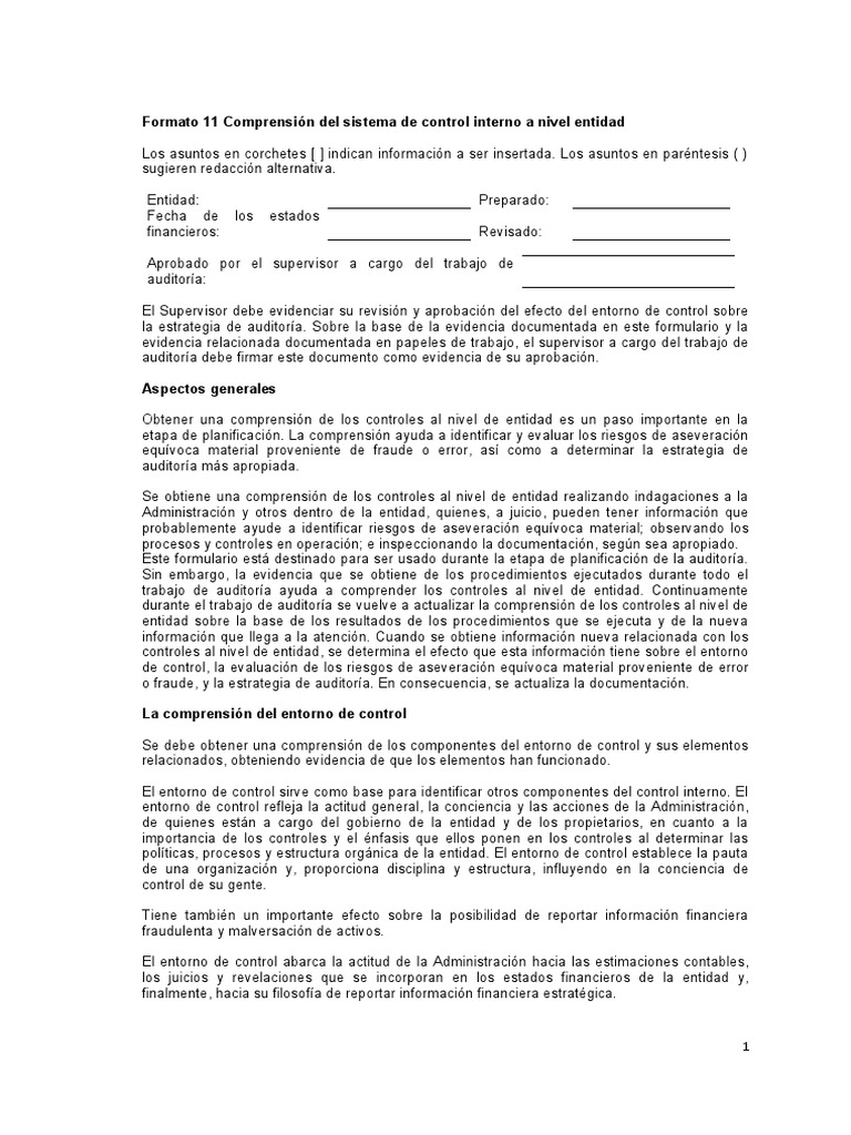 Formato 11: Control Interno Entidad 11 | PDF | Auditoría | Evaluación