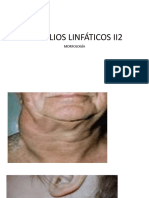 Sistema LINFATICO II2