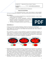 Guía de Conocimiento INICIO: Activación de Conocimientos Previos. ¿Qué Mencionamos La Clase Pasada?