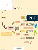 Mapa de Inmunidad