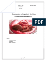 Fundamentos de Engenharia Genética E: Células Do Cordão Umbilical