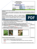 Evaluación Diagnóstica Noveno A - B CCNN 2023-2024