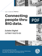 Connecting People Thru BIG Data.: Zulabs Digital (UT00115273-D)