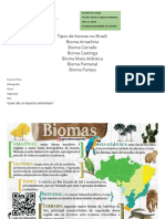 Tipos de Biomas No Brasil: Bioma Amazônia Bioma Cerrado Bioma Caatinga Bioma Mata Atlântica Bioma Pantanal Bioma Pampa