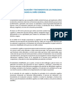 Principios de Evaluación y Tratamiento de Los Problemas Cognitivos Asociados Al Daño Cerebral