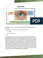 PDF Conjuntiva