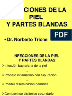 Infecciones de La Piel y Partes Blandas