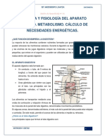 Nutricion y Dietas S3