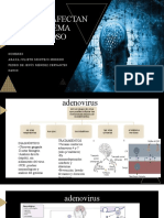 Virus Que Afectan El Sistema Nervioso