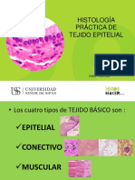 Histología Práctica de Tejido Epitelial