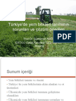 Türkiye'de Yem Bitkileri Tarımının Sorunları Ve Çözüm Önerileri