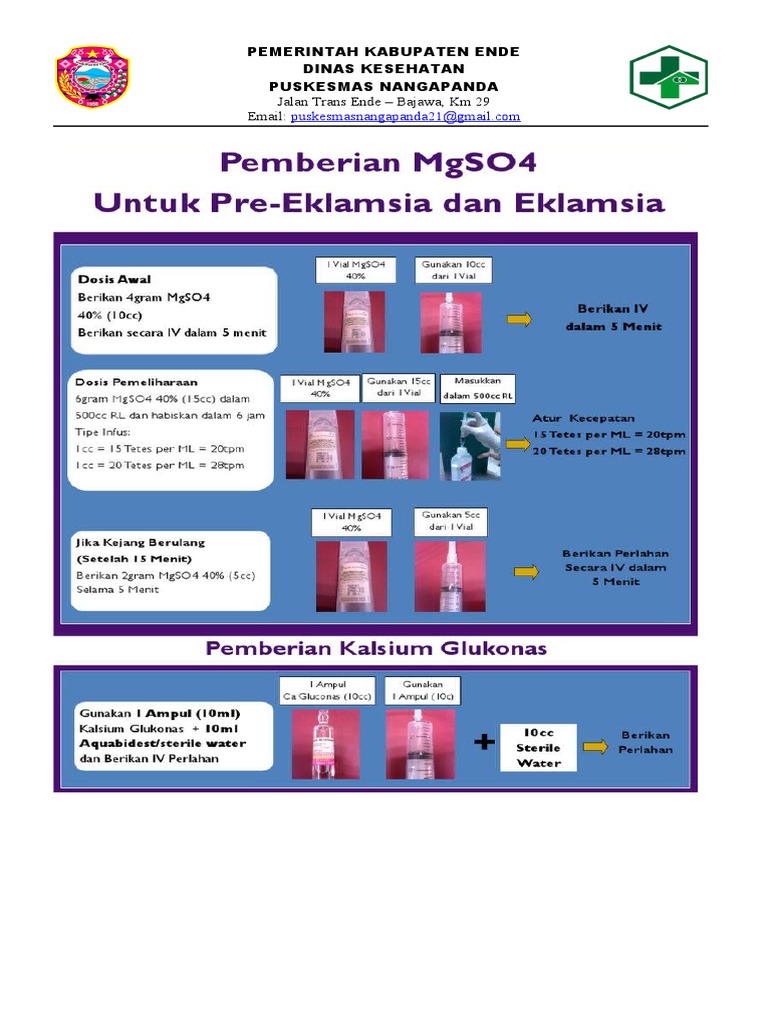 bagan-pemberian-mgso4-pdf
