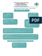 Penatalaksanaan Pada Peb / Eklamsi