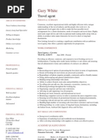 Travel Agent CV Example