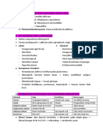 Soca Modul3