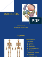 Osteología: Anatomía General Docente: Mg. Marcela Frías V