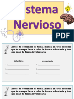 Sistema Nervioso - A