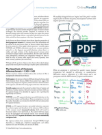 Onlinemeded Cardiology - Coronary Artery Disease