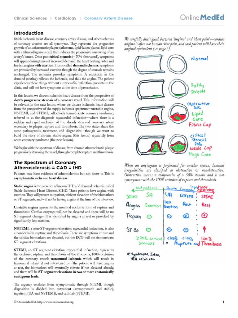 Onlinemeded Cardiology - Coronary Artery Disease | PDF | Coronary ...
