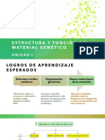 Estructura de Ácidos Nucleicos