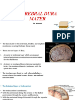 Brain Dura Mater Anatomy