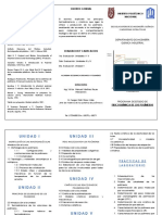 Triptico Fisicoquimica de Los Polimeros (8974)