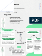 Mapa Mental Del Sistema Nervioso