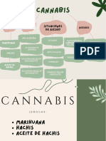 Cannabis (Definición, Causas y Consecuencias)