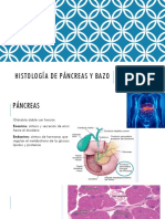 Histología de Páncreas y Bazo