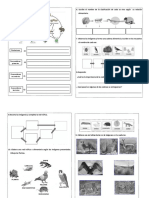 2022 P4 Cietec Bim4 Sem9 Sa8 Reforzamos Lo Aprendido - A4 X 119 Impresiones de Cada Hoja (357) Rev