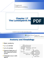 Chapter 17 The Lumbopelvic Region