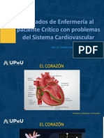 Paciente Criticoco Con Problemas Del Sitema Cardiovascular