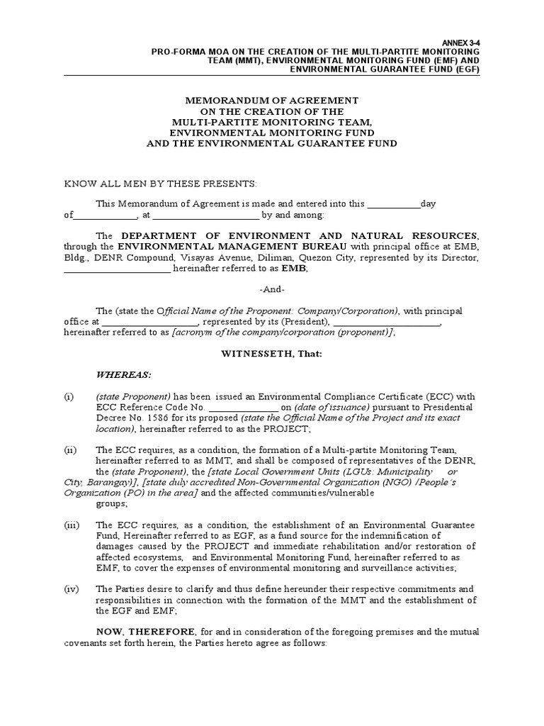 Moa (MMT) Template PDF Insurance Audit