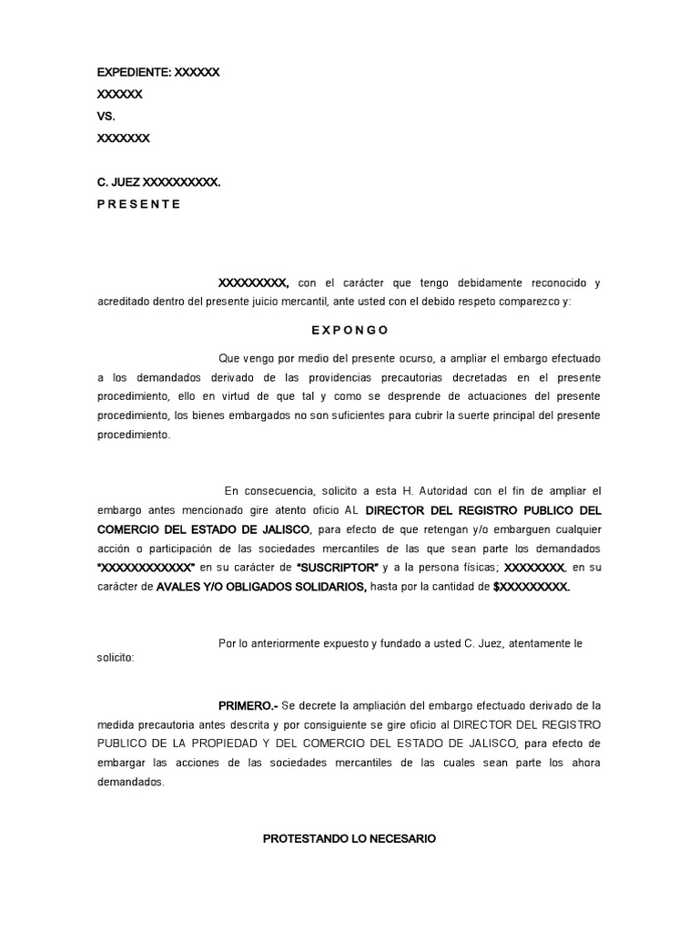 Ampliación de Embargo Mercantil | PDF | Negocios | Finanzas y dinero