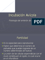 2da Clase Fisiología Del Embrión de Pollo