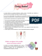 Form 033, PDF, Periodoncia
