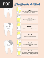 Clasificación de Carl Misch Dianelsty | PDF