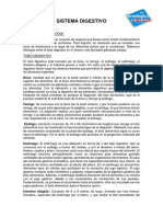 Sistema digestivo: anatomía y fisiología