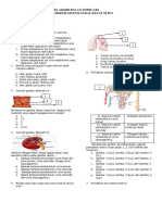 Tab Bio Ekskresi Saraf 11