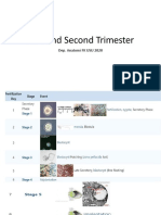 First and Second Trimester: Dep. Anatomi FK USU 2020