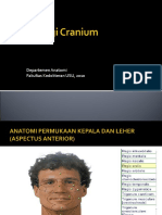 Departemen Anatomi Fakultas Kedokteran USU, 2010