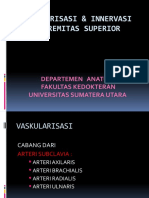 Vaskularisasi & Innervasi Ekstremitas Superior: Departemen Anatomi Fakultas Kedokteran Universitas Sumatera Utara
