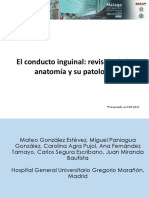 El Conducto Inguinal: Revisión de La Anatomía y Su Patología