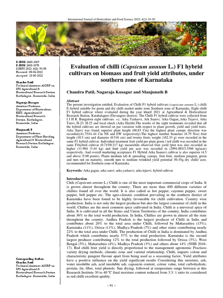 Chilli Hybrid Yield in Karnataka | PDF | Chili Pepper | Plants