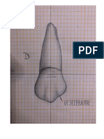 1ER Premolar.4 - Juan Diego Mera Albujar